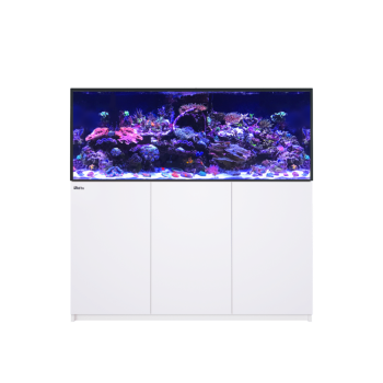 Reefer 625 G3